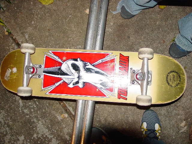 Photograph