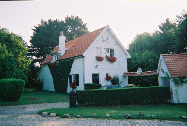 Photograph