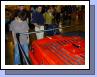 DSCN2321.JPG
