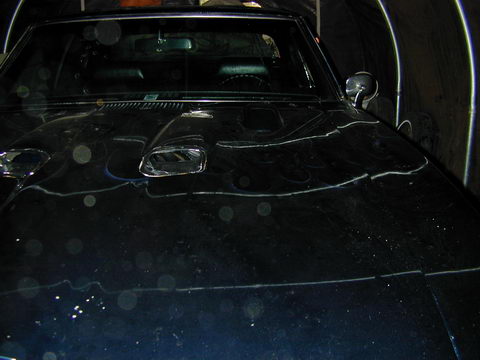 DSCN2390.JPG