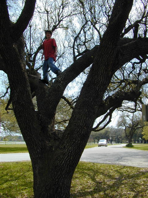 DSCN3068.JPG