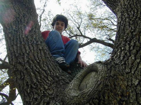 DSCN3069.JPG