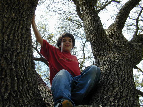DSCN3070.JPG