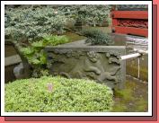 DSCN1075.JPG