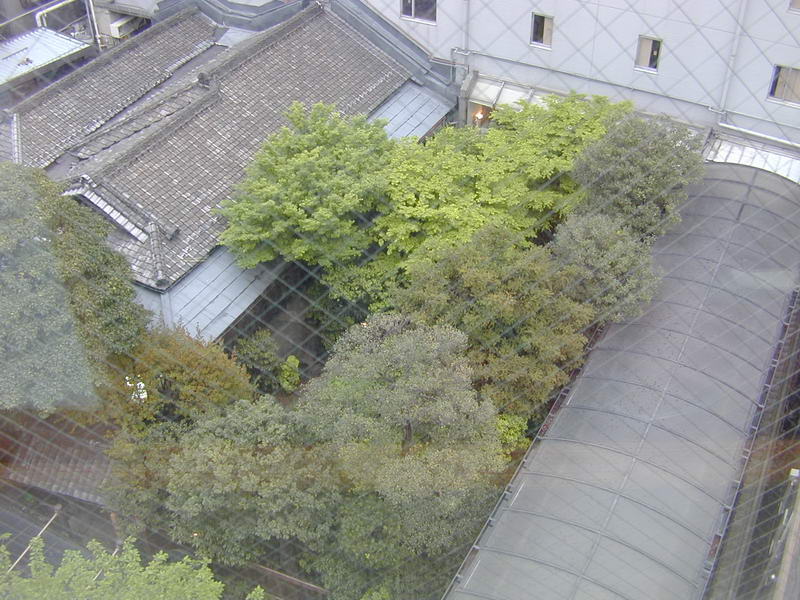 DSCN0982.JPG