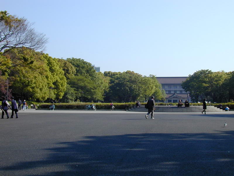 DSCN1003.JPG