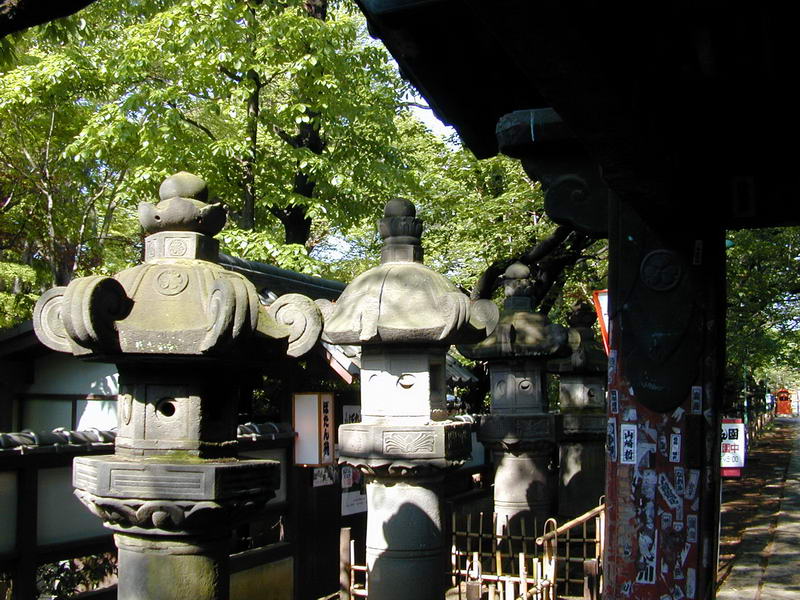 DSCN1004.JPG