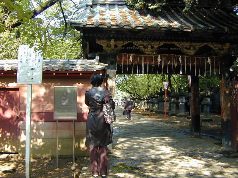 DSCN1006.JPG