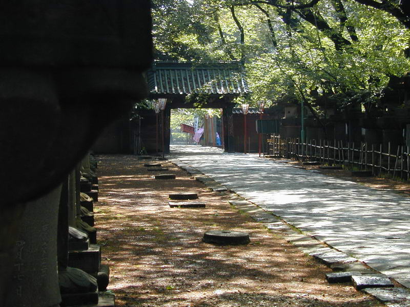 DSCN1008.JPG