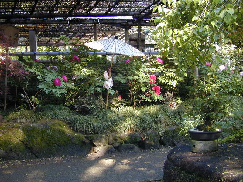 DSCN1009.JPG