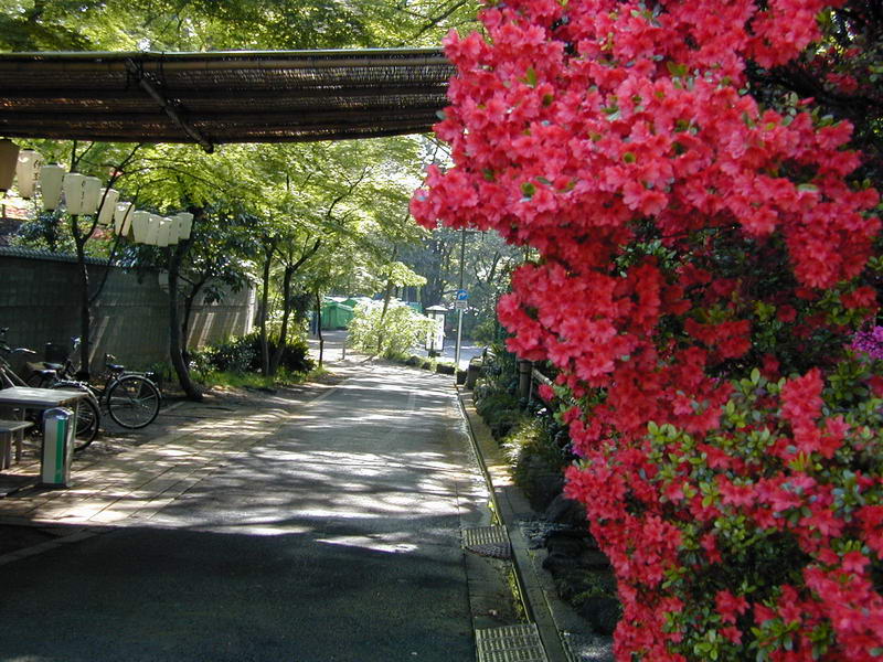DSCN1010.JPG