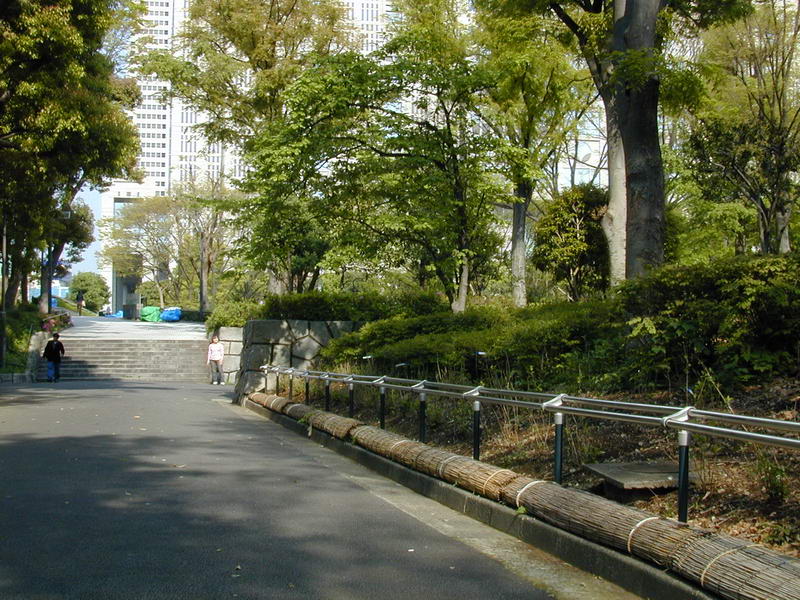 DSCN1034.JPG