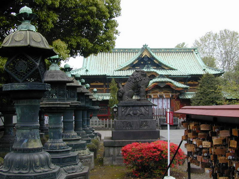 DSCN1071.JPG