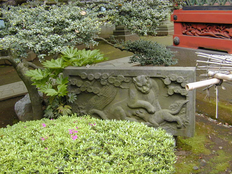 DSCN1075.JPG