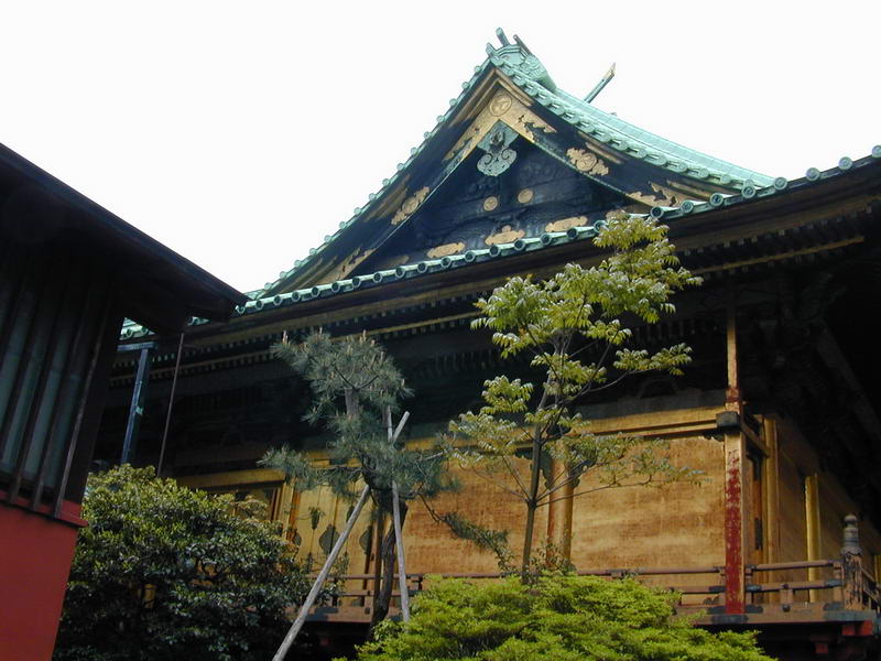 DSCN1080.JPG