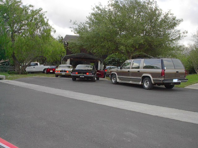 pic039.jpg
